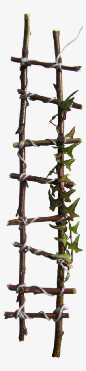 Rope