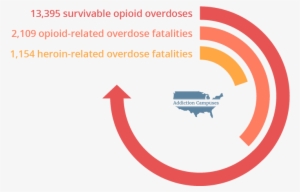 Com Illinois Opioid Overdoses - Addiction Campuses