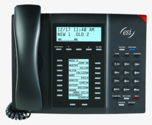 Esi 60 Business Phone