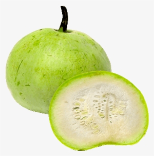 Bottle Gourd Round - Round Bottle Gourd