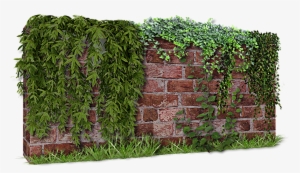 Wall