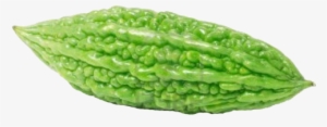 Hd Images Of Bitter Gourd