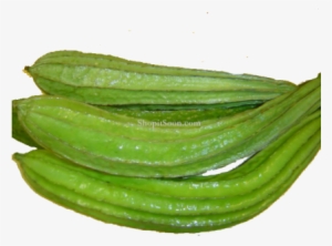 Ridge Gourd Png