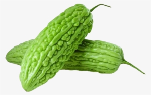 Bitter Gourd Ampalaya Plus - Golden Autumn Farm- Bitter Gourd Seeds 50