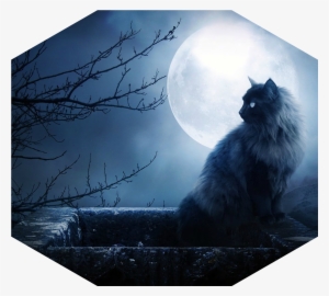 Gato En La Pared, Silueta De Un Arbol, Luna Llena 152622