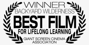 Sk Films - Pack Festival De Cine De Berlin Ii