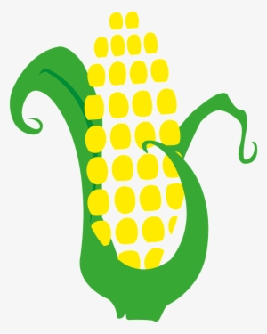 Corn Cob Harvest - Mazorca De Maiz Png