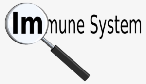 The Battle For Your Immune System - Immune System Black And White Clipart