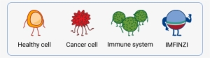 Imfinzi Works With Your Immune System - Imfinzi