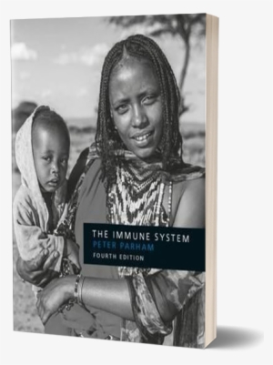 Immune 3d - Immune System By Peter Parham