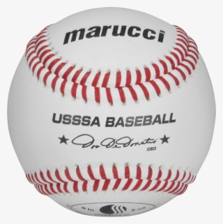 Tecate My Body Red Button Back Beer Button Museum - Bicycle