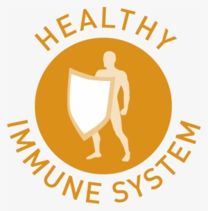 Immune System Png