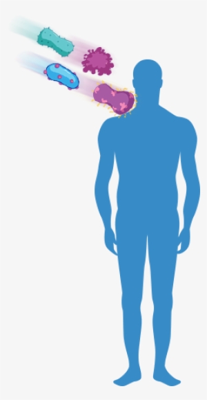 1st Level - Portrait