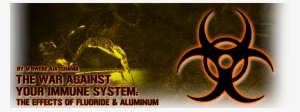 The War Against Your Immune System - Immune System