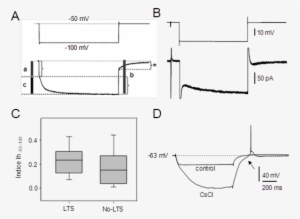 Esquema Del Procedimiento Empleado Para Cuantificar - Technical Drawing