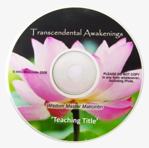 Let The Diamond Shine & View From The Mountain Top - Transcendence