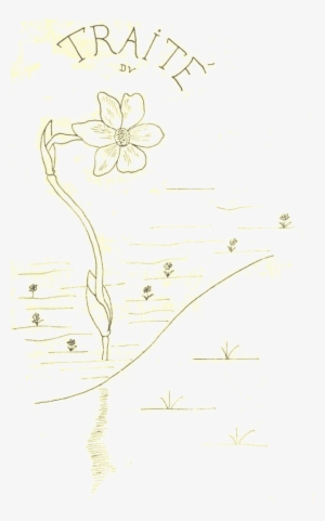 O Tratado Do Narciso - Illustration