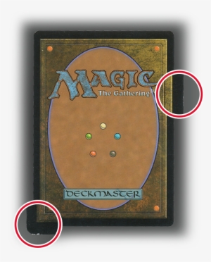 Lightly Played - Lightly Played Magic Card