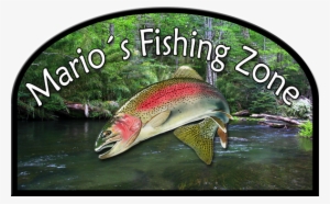 Fishing