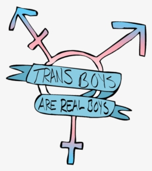 Trans Boys