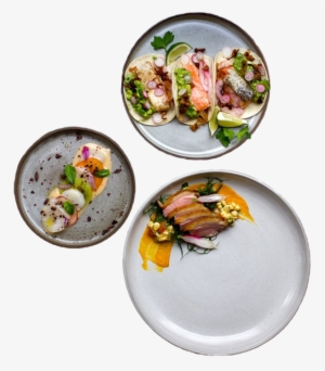 Thanks For Signing Up - Kaiseki
