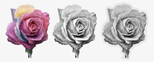 Standard Custom Text Color Me Patch - Address Book. ( Flower Edition Vol. 8 ): Glossy Acts,