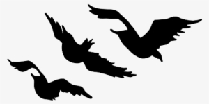 Tris's Bird Tattoos - Divergent Tris Tattoo Template