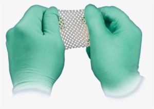 A Pre Shaped Bone Wedge - Hand