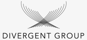 Comments - The Divergent Series