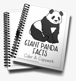 Giant Panda Facts Color And Copywork - Puppy Planner