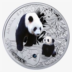 Niue 2014 1$ Giant Panda - Animal Coin