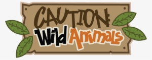 Wild Animals Svg Scrapbook Title Zoo Svg Files Zoo - Wild Animals Scrapbook