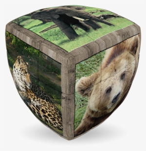 Wild Animals - V-cube Wild Animals 2 Pillow