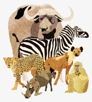 About Each Animal's Behaviour And Surrounding Lore - Cheetah