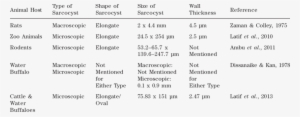 Morphology And Size Of Sarcocystis Sp - Tissue