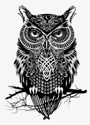 Owl Art Png - Owl Art Black And White