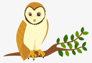Owl In A Tree Png