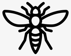This Is An Image Of A Hornet - Hornet Vector Png