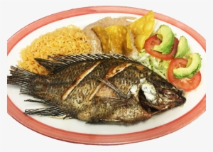 Tilapia Frita Png - Pescado Frito Png Hd