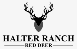 Contest Halter Ranch Red Deer