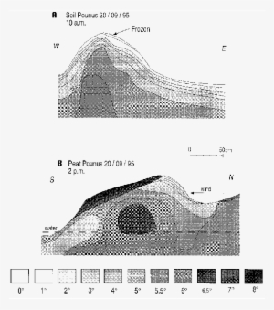 Thermal Comportmen T Of Pounus Of Site A After A Night - Diagram