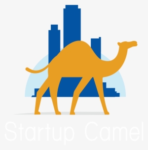 The Voice Of Israeli Innovation - Startup Camel