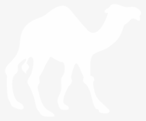 Download Instruction Booklet - Love Camels