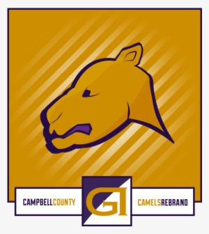 Camels