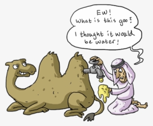 What's The First Thing You Think Of When You Imaging - Camel Hump Water