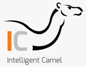 Services ▻ - Intelligent Camel