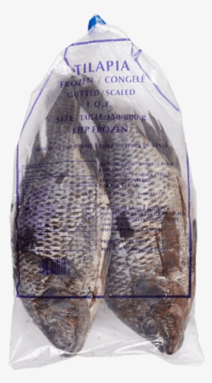 Tilapia, Frozen - Tilapia