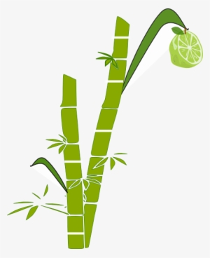 Lemon Clipart Lemon Tree - Clip Art Sugar Cane Clipart