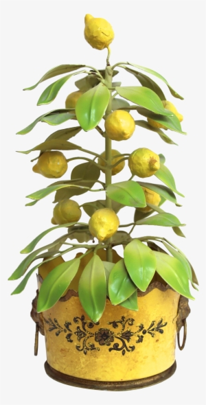 Italian Tole Lemon Tree Topiary On Chairish