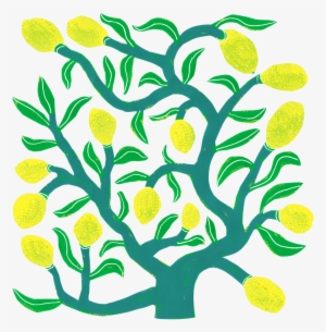Lemon Tree
